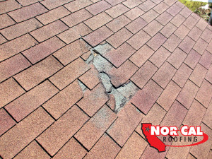 Nor-Cal Roofing : Missing asphalt shingles